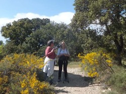 MAZAN : Les Chapelles