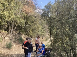 MIRABEL AUX BARONNIES