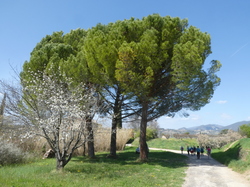 MIRABEL AUX BARONNIES