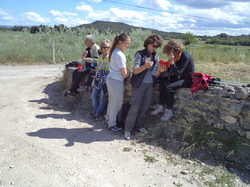 MONTSEGUR SUR LAUZON