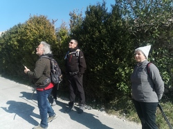 MONTSEGUR SUR LAUZON