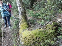 NOTRE DAMES DES ANGES