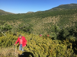 PLAISIANS COL DE GEINE