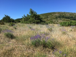 PLAISIANS COL DE GEINE