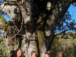 PLAISIANS COL DE GEINE UN MARDI