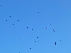 PLAISIANS COL DE GEINE UN MARDI