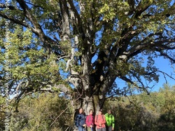 PLAISIANS COL DE GEINE UN MARDI