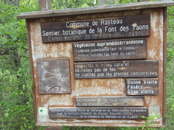 RASTEAU ET SES VIGNOBLES