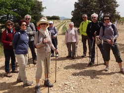 RASTEAU ET SES VIGNOBLES