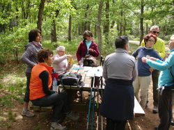 RASTEAU ET SES VIGNOBLES