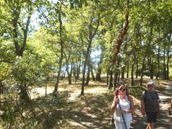 RENTRÉE 2019 ENTRECHAUX