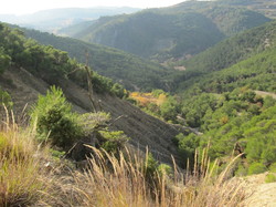 ROCHE COLOMBE PAR PROPIAC