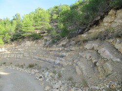 ROCHE COLOMBE PAR PROPIAC