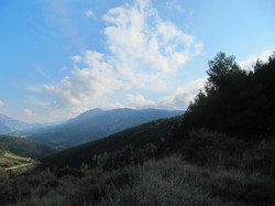 ROCHE COLOMBE PAR PROPIAC