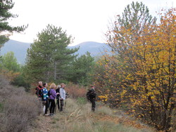 ROCHE COLOMBE PAR PROPIAC