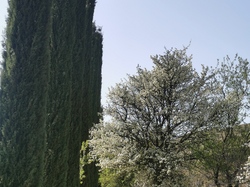 SAINT HIPPOLYTE LE GRAVEYRON