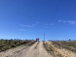 SAINT MAURICE SUR EYGUES-VINSOBRES