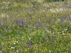 SEJOUR ARDECHE LAURAC JOUR 3