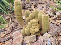 SEJOUR AU LAVANDOU 14-18 AVRIL 2025