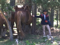 SEJOUR DANS LES PYRENNEES