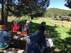 SEJOUR DANS LES PYRENNEES