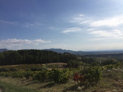 ST ROMAN DE MALEGARDE