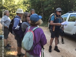 ST JEAN de SAULT LAVANDES