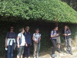 ST MARCELLIN LES VAISONS