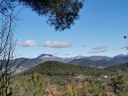 ST ROMAIN EN VIENNOIS