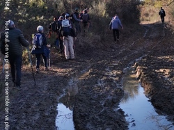 ST ROMAIN EN VIENNOIS