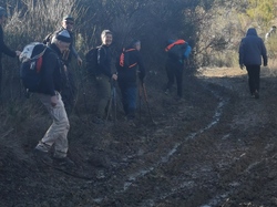 ST ROMAIN EN VIENNOIS