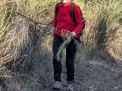 ST ROMAIN EN VIENNOIS