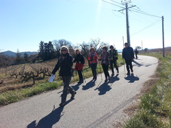 ST ROMAIN PUYMERAS FAUCON