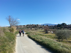 ST ROMAIN PUYMERAS FAUCON