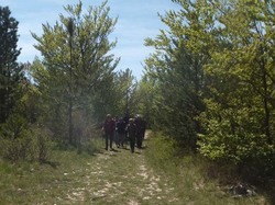VENTOUX SUD : LA BOUCLE DU RAT